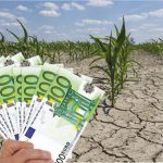 Vremea rea a făcut prăpăd în agricultura României: pierderi de peste 2,5 miliarde de euro