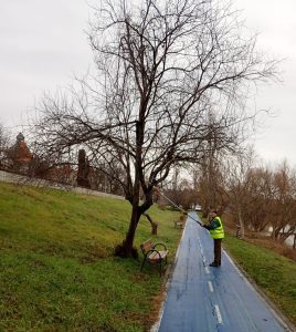 parcuri 2 spatii verzi curatenie arad