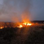 Pompierii arădeni au intervenit pentru stingerea a șapte incendii, într-o singură zi