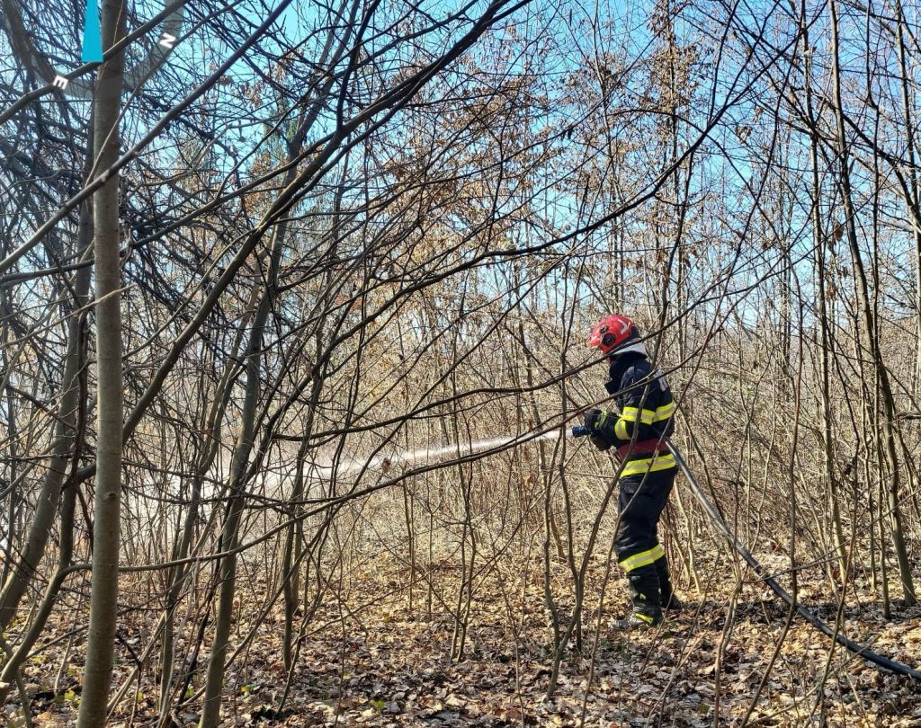 pompier padure incendiu