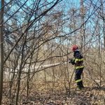 Pompierii arădeni au intervenit, duminică, pentru stingerea a 20 de incendii izbucnite la vegetație uscată și pășune împădurită